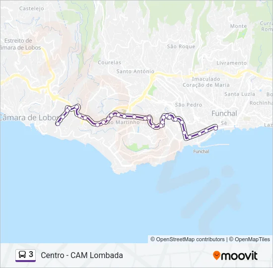 3 Bus Line Map