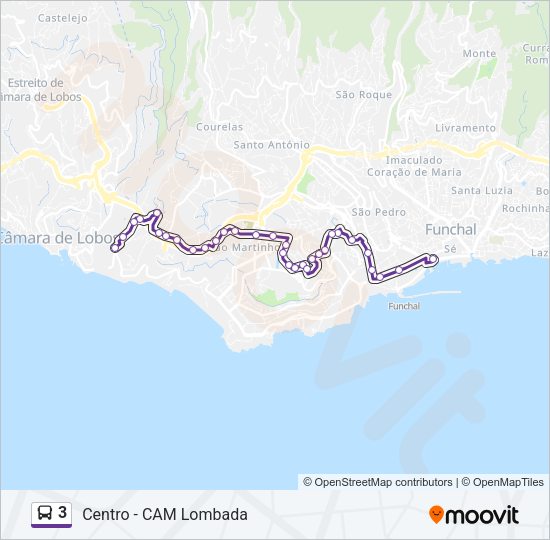 3 Bus Line Map
