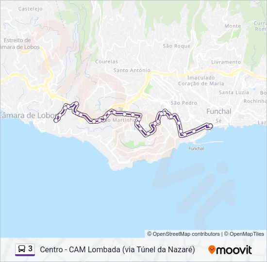 3 Bus Line Map