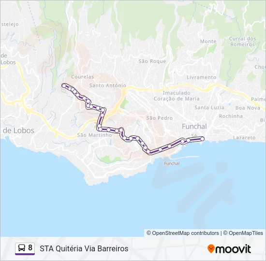 8 Bus Line Map