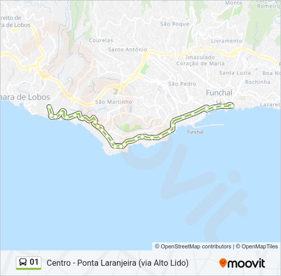 01 Bus Line Map