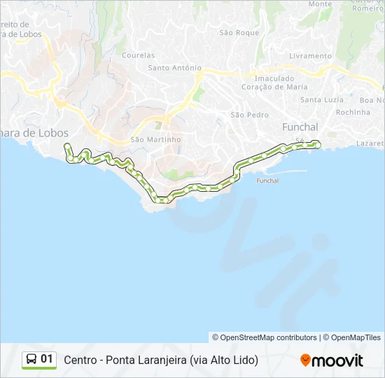 01 Bus Line Map