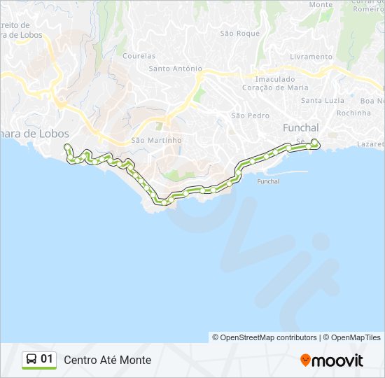 01 Bus Line Map