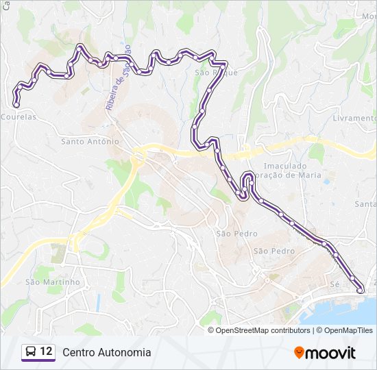 12 Bus Line Map