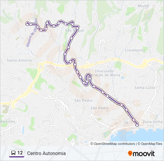 12 Bus Line Map