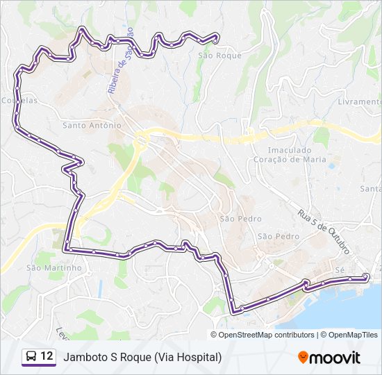 12 Bus Line Map