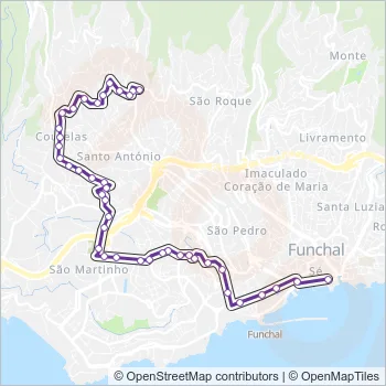 13 Bus Line Map