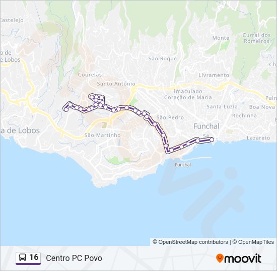 16 Bus Line Map