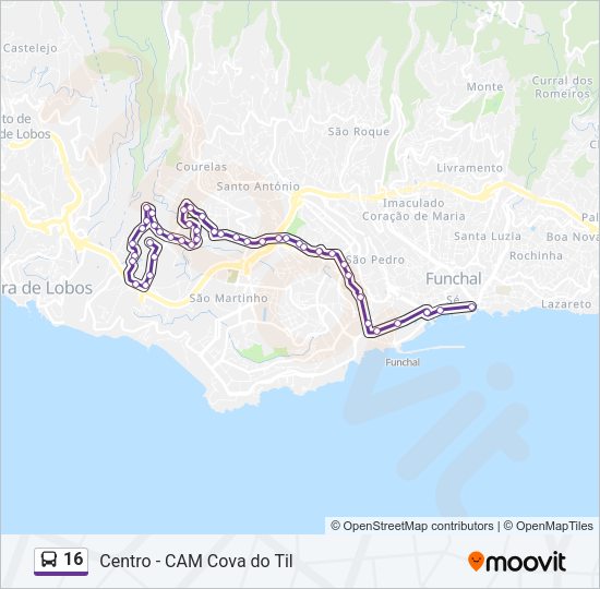 16 Bus Line Map