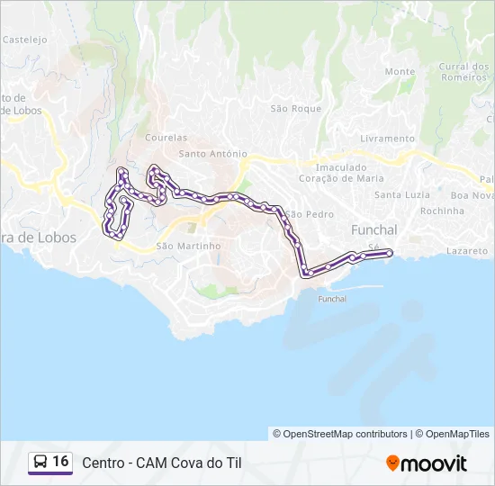 16 Bus Line Map