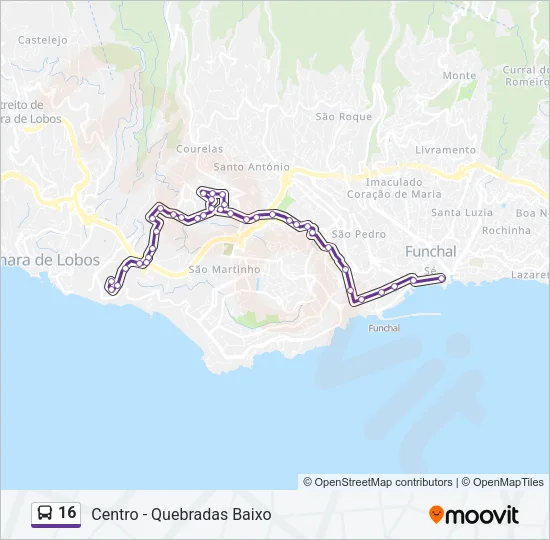 16 Bus Line Map