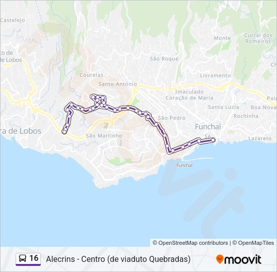 16 Bus Line Map