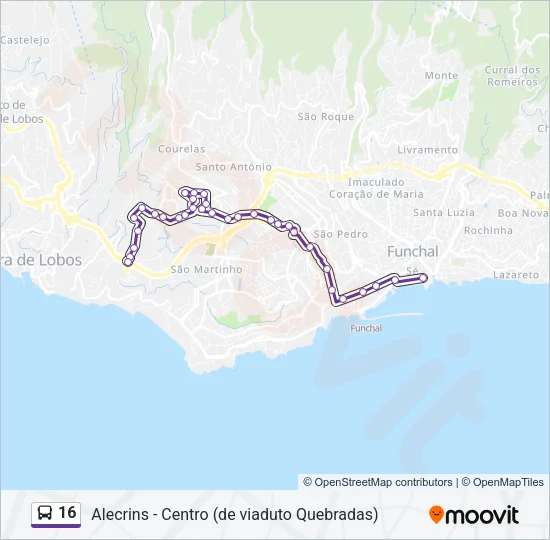 16 Bus Line Map