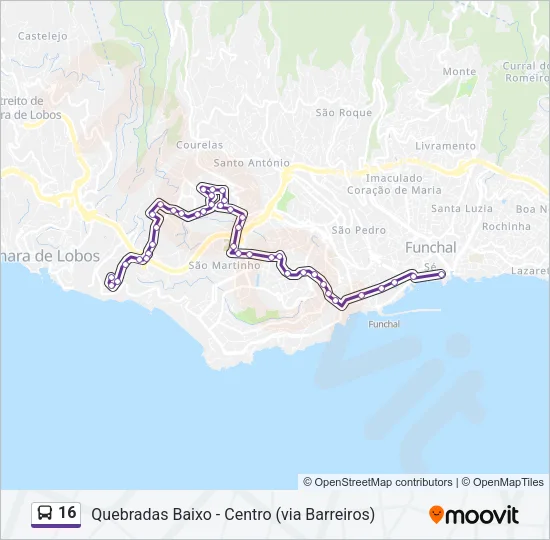16 Bus Line Map
