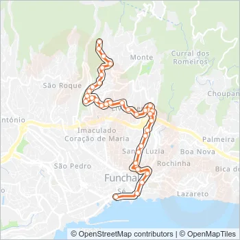 19 Bus Line Map