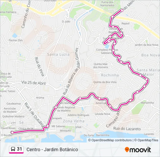 31 Bus Line Map