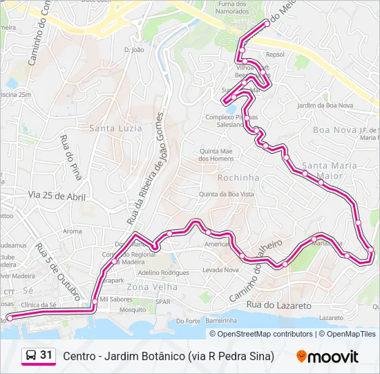 31 Bus Line Map