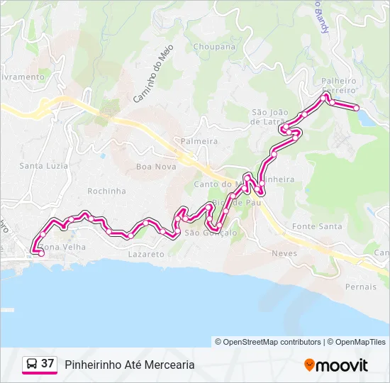 37 Bus Line Map