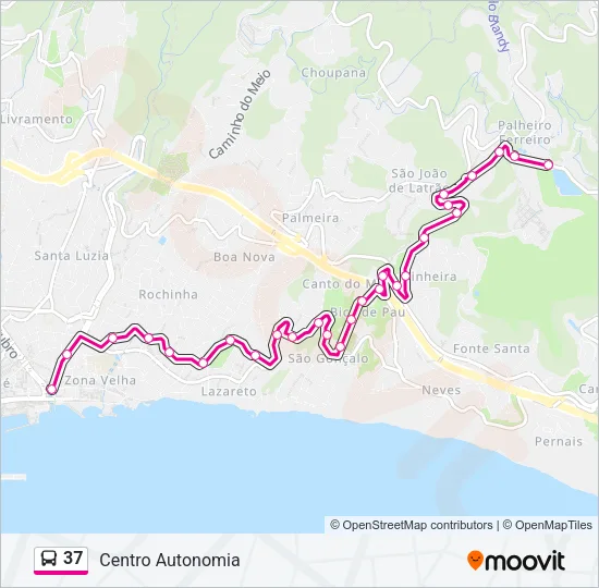 37 Bus Line Map
