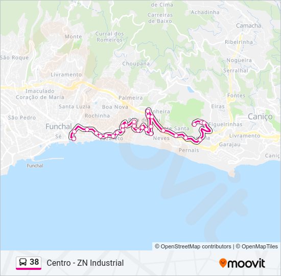 38 Route: Schedules, Stops & Maps - Zona Industrial (Updated)