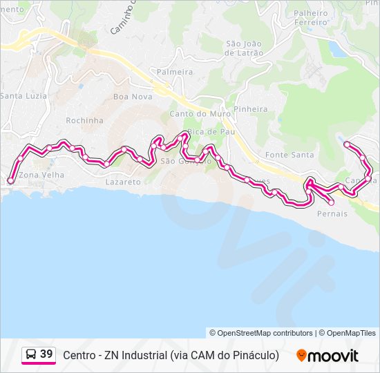 39 Route: Schedules, Stops & Maps - Centro Autonomia (Updated)