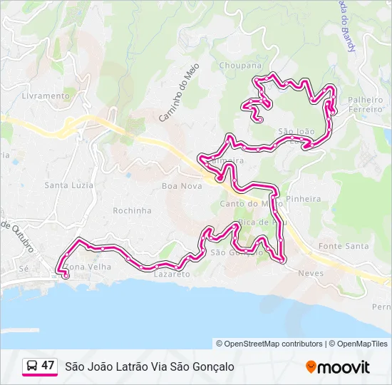 47 Bus Line Map