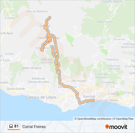 81 Bus Line Map