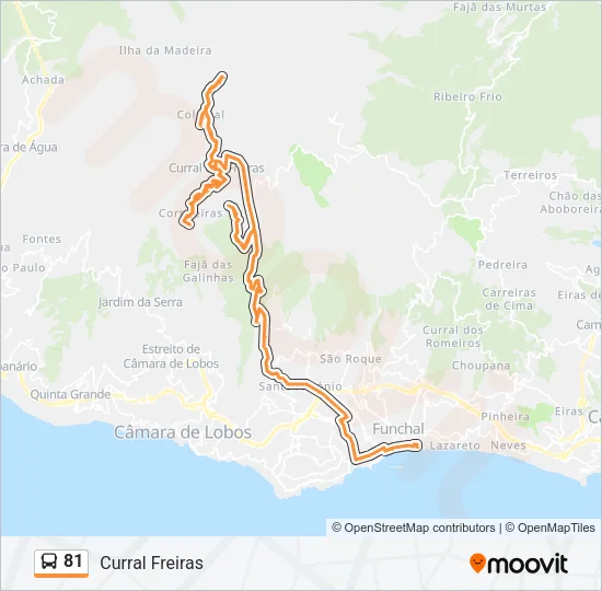 81 Bus Line Map