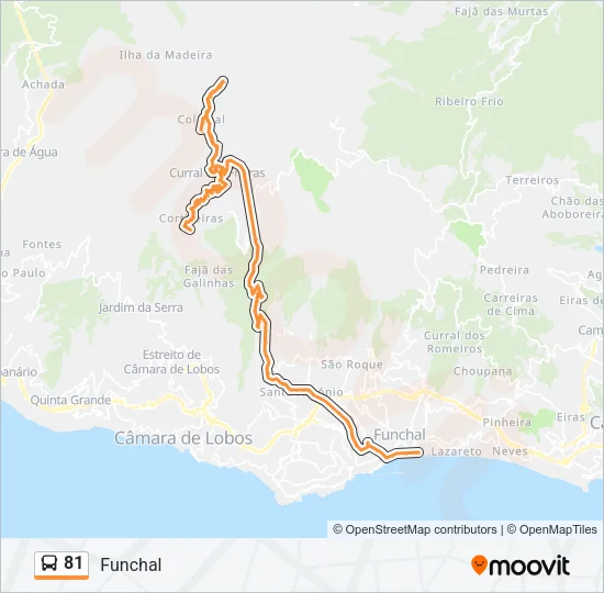81 Bus Line Map