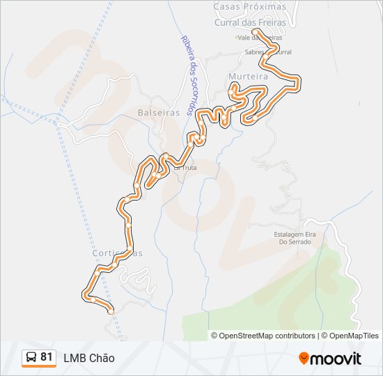 81 Bus Line Map