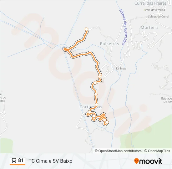 81 Bus Line Map