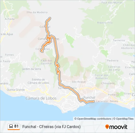 81 Bus Line Map