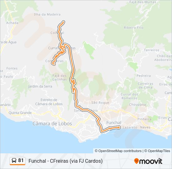 81 Bus Line Map