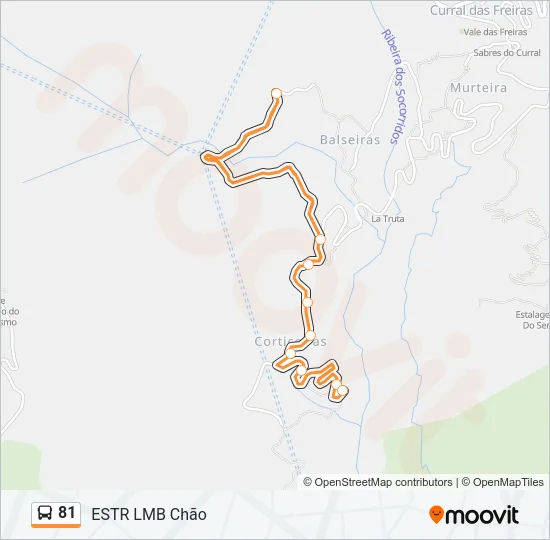 81 Bus Line Map