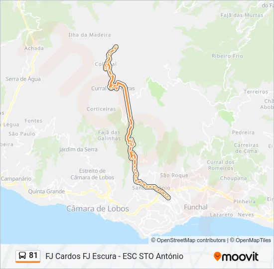 81 Bus Line Map
