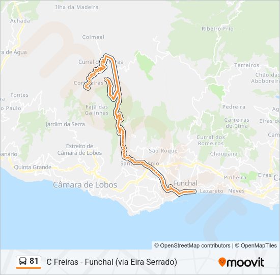 81 Bus Line Map