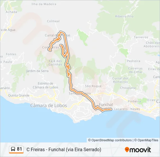81 Bus Line Map