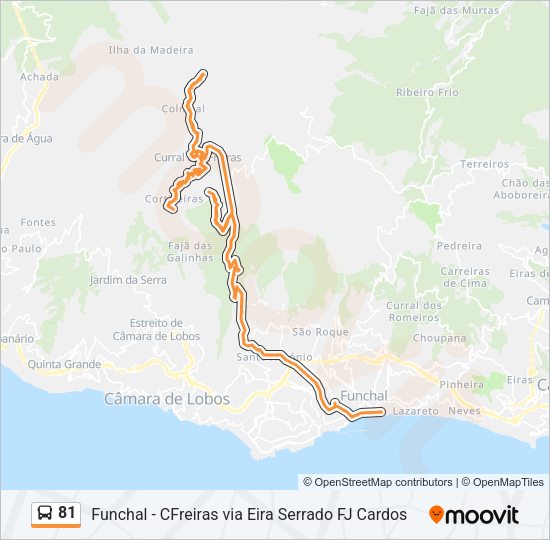 81 Bus Line Map