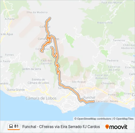 81 Bus Line Map