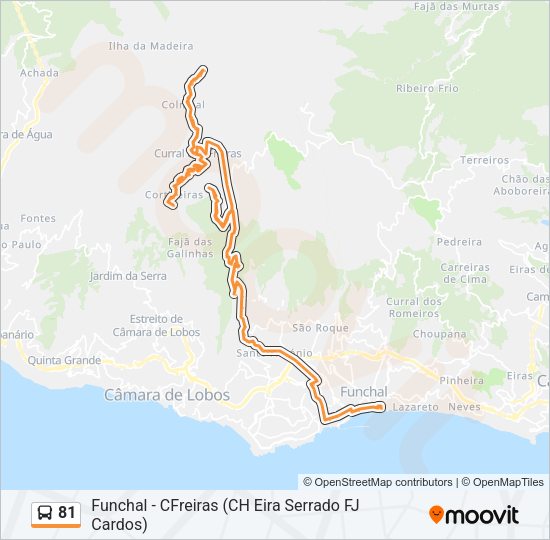 81 Bus Line Map