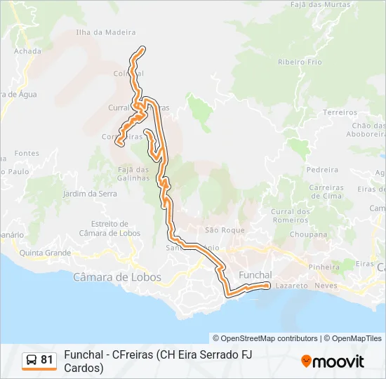 81 Bus Line Map