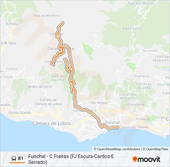 81 Bus Line Map