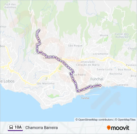 10A Bus Line Map