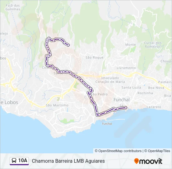 10A Bus Line Map