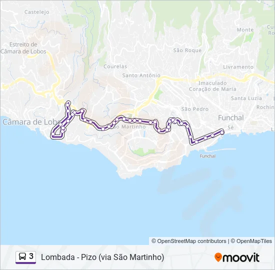 3 Bus Line Map