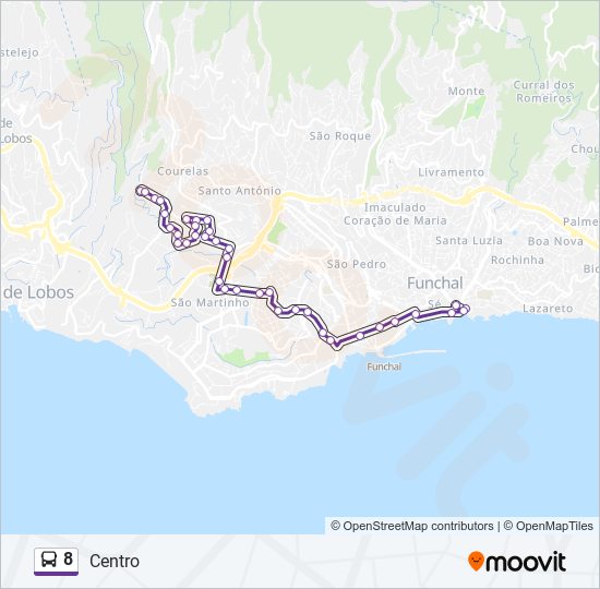 8 bus Line Map