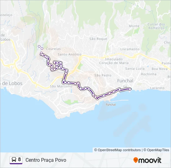8 Bus Line Map