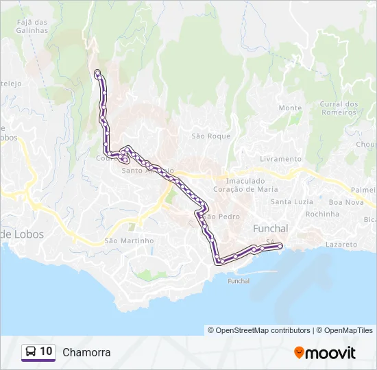 10 Bus Line Map