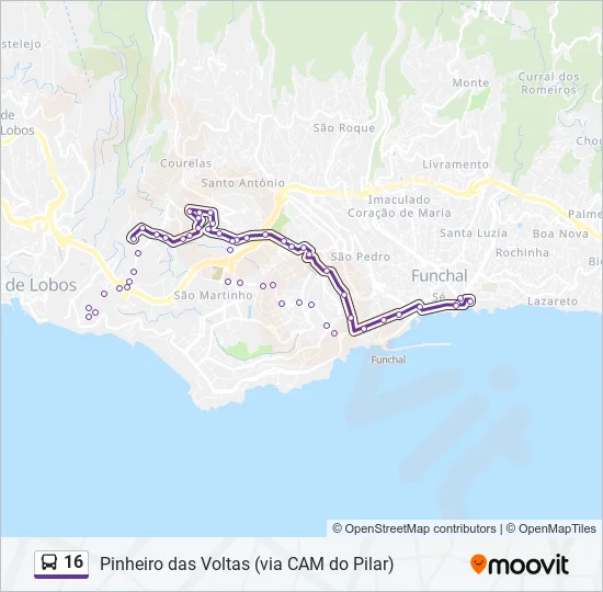 16 Bus Line Map