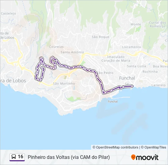 16 Bus Line Map